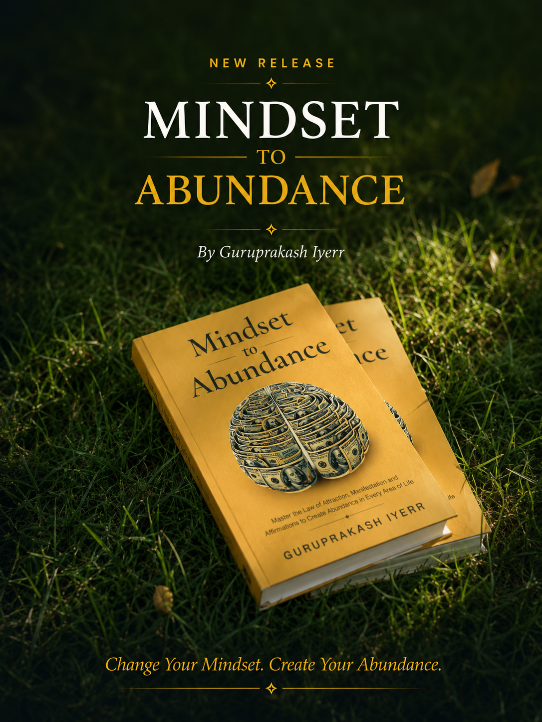 Mindset to Abundance Book